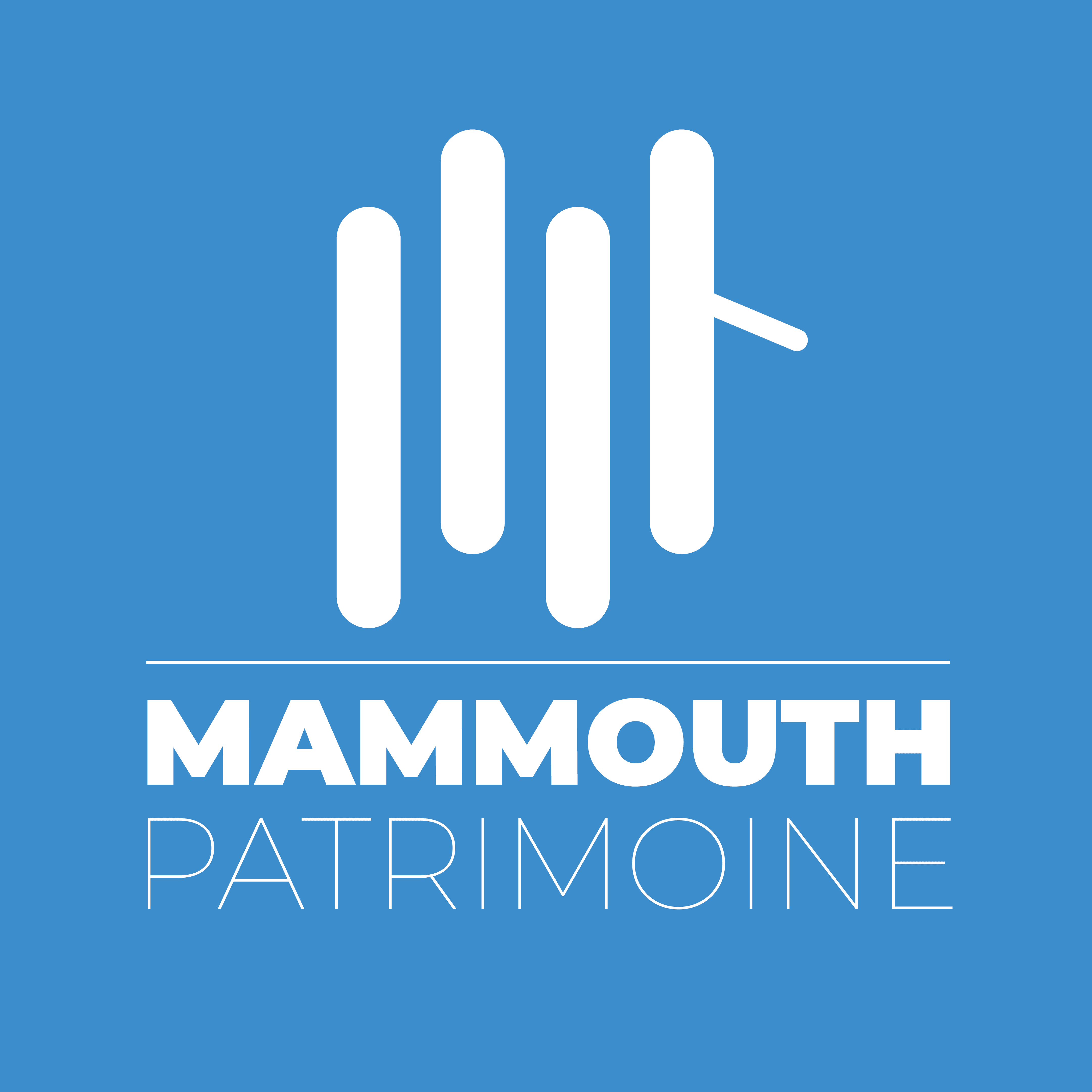 Logo Mammouth Patrimoine